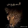 myali274