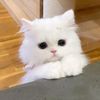 lovely_youu1