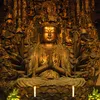 omae_kao_kusa