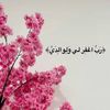 nour.nor916