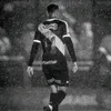 mano_lesny