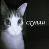 linx_337