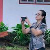 elviera733