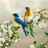 hazzel.hnin