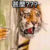 巧虎奇妙大冒險