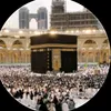 user82168329194741