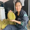 Sầu Riêng Sỉ Đắk Lắk - Hà Nội2