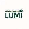 Khăn Lau Lumi xơ mướp