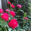 asma70569
