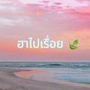 ฮาไปเรื่อย 🍃