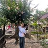 siwani_____rai07