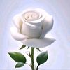 user318005527020
