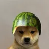 iamsennno