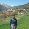 dolma.lama770