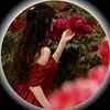 hgkbb.cjbhvc