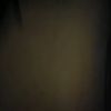 goterp4