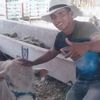 faby34365