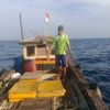 mainan.pejuang.sa