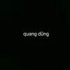 qung.dng973