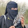 mahdiya485