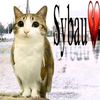 user7105130239286