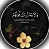 user85379661539110