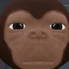 itzzkokooo