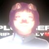 plugg3redits