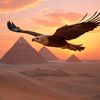 نسر مصري