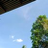 wahyu.pratamaputr7