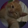 woofwewant_it