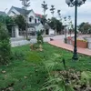 user63107529926695