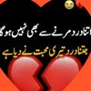 user9050592796146