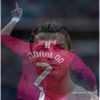 omar.jsib