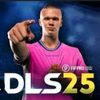 dls.2516