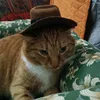 ciao_hola