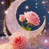 user4891328608211