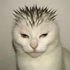 viuget4