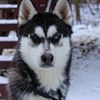 grier_1849380