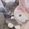 trxmy0