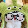 firr_raaa3