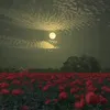 nhhhgjtdx08