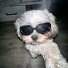 keny_652