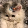 arsyila.imut1