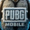 user7677062433579