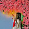 mdshakib45225
