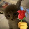 your_fav_thoon8