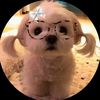 brooklyngomez_doggies