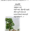 naung.lay0207