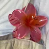 pnkorchd